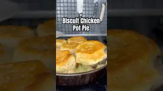 Biscuit Chicken Pot Pie! #ChickenPotPie #Chicken #Biscuits #FamilyDinner #EasyRecipe #Dinner #Pies