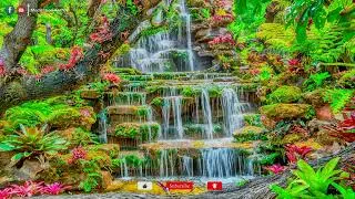 Beautiful Relaxing Music! Peaceful Piano Music! Calm, Study, Sleep Music Tuneone! Meditation Autrey