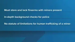New Illinois laws: Gun storage, police background check changes take effect in 2026