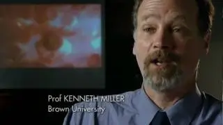 BBC / Ken Miller Misrepresent Core Intelligent Design Argument