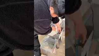 MNS-812 Root Vegetable Slicer Dicer Shredder| +86 13733892205