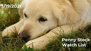 PENNY STOCKS TO WATCH March 19 2021