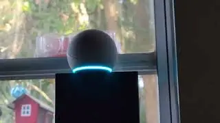 #Alexa, #FIRED !  #forfun un #askeAlea  #comedy #joking #funnyreplies #questions #silly 