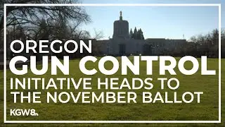 Oregon gun control initiative approved for November ballot