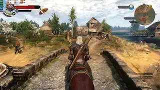 The Witcher 3 - FX505DU Ryzen 7 3750H GTX 1660 TI