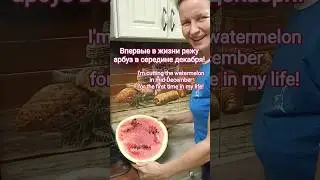 3.0035. Режу арбуз в середине декабря! I'm cutting a watermelon in mid-December! #арбуз #watermelon