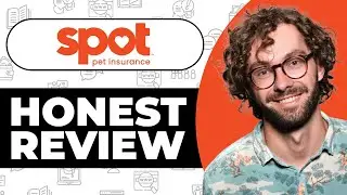 Spot Pet Insurance Review - Usage Experience