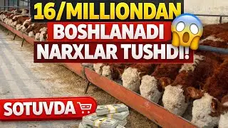 NARXLAR JUDAHAM ARZONLADI 16/MILLIONDAN BOSHLANADI 😲🏃🏃