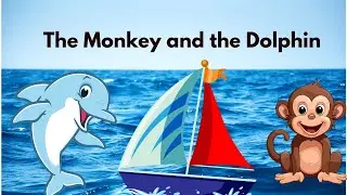 The Dolphin and Monkey