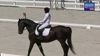 Laura Williamson, Vee McKey Talk Dressage Challenge