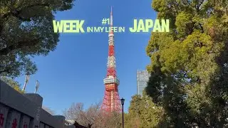 Week in my life in Giappone | vivere qui, mangiare fuori & skincare