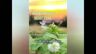 I'M REACHING OUT | HEART ECHO | BALLADS LOVE SONG