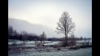 24/7 Relaxing Dark Folk Guitar Stream