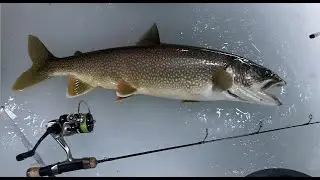 RED HOT New York Lake Trout Jigging Through ICE