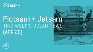 This Week&rsquo;s Ocean News (April 20) - WSL PURE | One Ocean