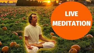 Learn Heart-Brain Coherence Guided Meditation; Energy Transmission