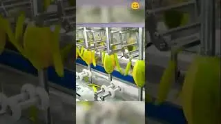 🥭🔪 Modern Mango Cutting Machine: Effortless Slicing and Juicy Delights! 🍽️