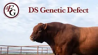 DS Genetic Defect
