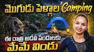One Night in the Wild Forest | CAMPING | Forest camping | One Night in the Wild Forest |