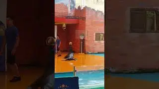 Sea Lion Playing Basketball
