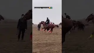 Толик палуан