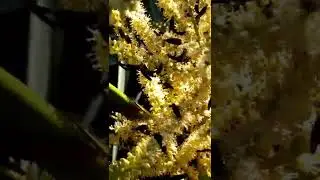 Wow!! Look at these bugs😯