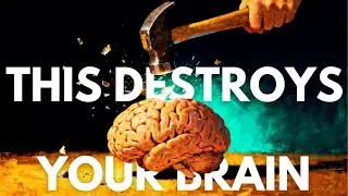 How Trauma Changes the Brain - Why You Can&rsquo;t Just &ldquo;Move On&rdquo;