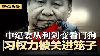 2026反腐大转向：习近平权力被关进笼子！反腐让位保党，中纪委权力被阉割，从利剑变看门狗；习近平性格多疑，眼中全是两面人；新提拔官员升得越快查得越狠 | #热点背景20260116