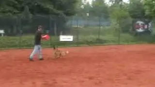 Funturnier