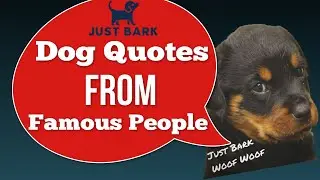 Man's Best Friend - Dog Quotes From Famous People - JustBark.org