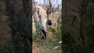 Hunting #funnyvideo #new_shorts #Funrevolution