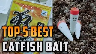 Top 5 Best Catfish Bait on AliExpress
