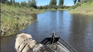 Invasive Species Scouting with my SWOMP 23