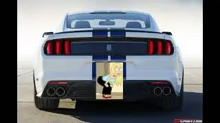 family guy Jillian Russell Wilcox as license plate part 7