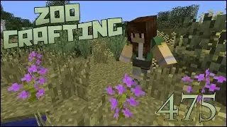 Taking Alya and Ash on a Walk!! 🐘 Zoo Crafting: Episode #475