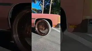 TOP5 CARSHOW