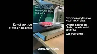 Camo Machine Vision in the food industry