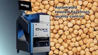 Automated quality control - Qcify 360 - Roasted hazelnuts