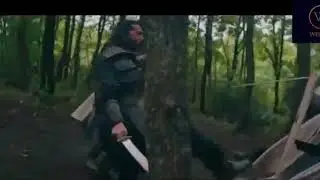 bamsi fight