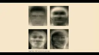 A Portrait of Facial Recognition: Critical Visualities of Statistics and the Face, Lila Lee-Morrison