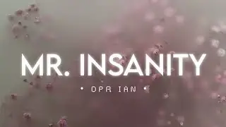 Mr. Insanity (Lyrics) - DPR IAN | Saudade Sonics