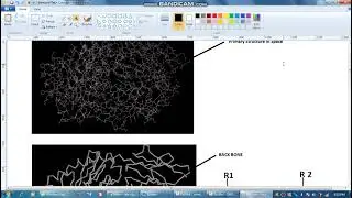 MCH II Immunoinformatics Visualization Immuno Info MHCII in a Viwer