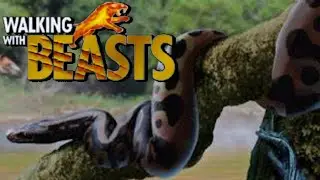 Walking With Beasts [2001] - Palaeopython Screen Time