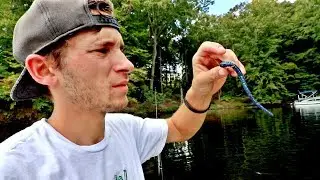 Did We Qualify For the Classic?! Late Summer Bass Fishing Tournament + GIVEAWAY
