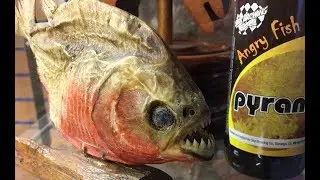 The Angry Fish Documentary
