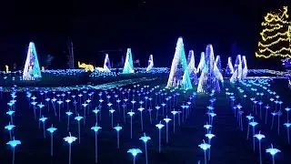 Zoolights Portland OR, 2024