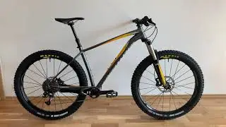 Maxxis Minions DHF & DHR II 2.8 on plus bike
