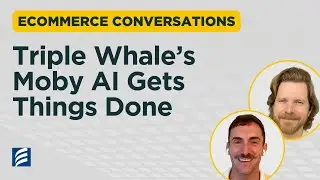Triple Whale&rsquo;s Moby AI Gets Things Done