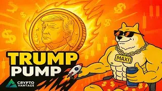 NEW MEME COIN WAVE INCOMING! Trumpcoin & Maxi Doge Steal the Show 💥