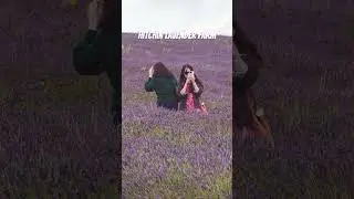 #hitchinlavender #farm #lavender #nature #outdoors #wildlife #people #hitchin #photography #plants